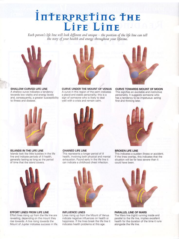 Palm Line Reading Chart