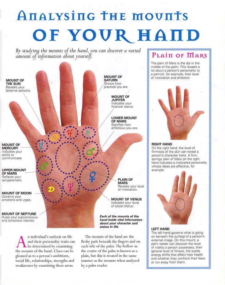 Palm Reading Hand Chart